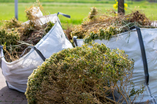Attic Cleanout Services in Lakewood, IL